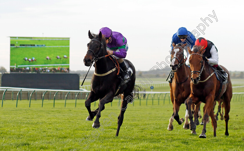 Caernarfon-0002 
 CAERNARFON (Connor Beasley) beats KEEP IN TOUCH (right) in the EBF Montrose Fillies Stakes 
Newmarket 29 Oct 2022 - Pic Steven Cargill / Racingfotos.com