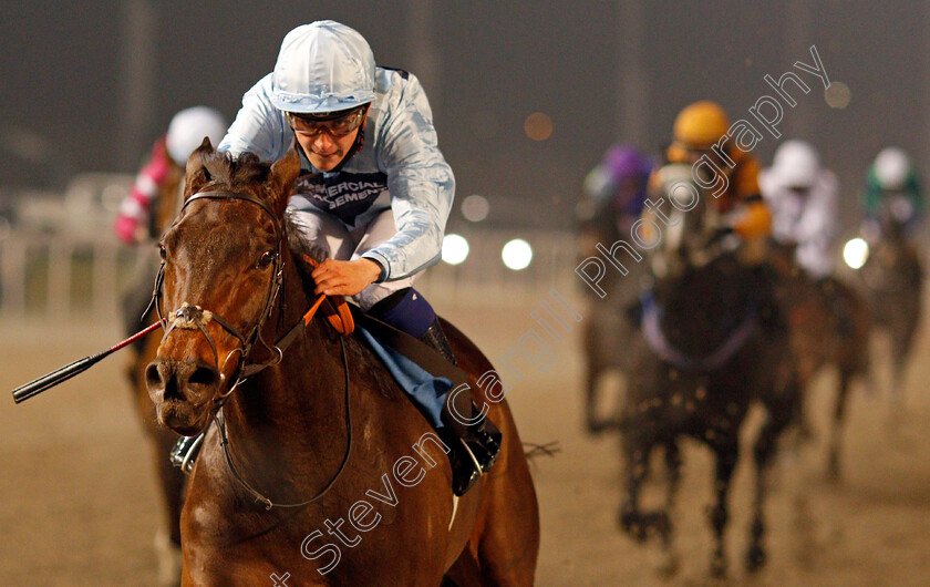 Pearl-Beach-0005 
 PEARL BEACH (Pierre-Louis Jamin) wins The Havens Hospice Handicap
Chelmsford 26 Nov 2020 - Pic Steven Cargill / Racingfotos.com