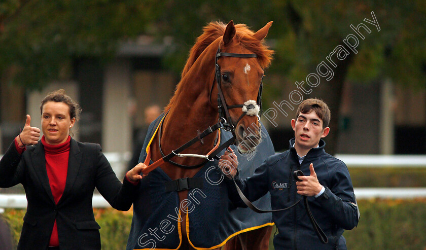 Glendevon-0001 
 GLENDEVON on his way to the paddock before winning The 32Red British Stallion Studs EBF Novice Stakes Kempton 11 Oct 2017 - Pic Steven Cargill / Racingfotos.com