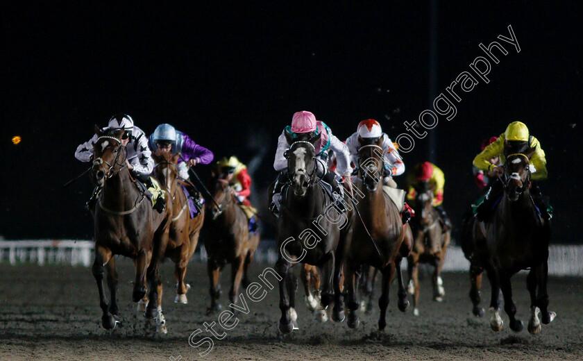 Set-Piece-0002 
 SET PIECE (centre, Jason Watson) wins The 32Red Casino British Stallion Studs EBF Novice Stakes Div1
Kempton 12 Dec 2018 - Pic Steven Cargill / Racingfotos.com