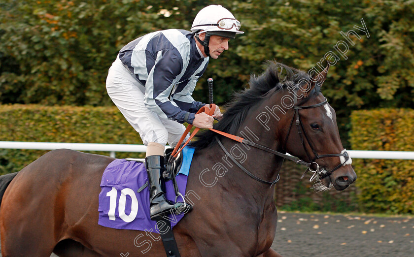 Scandaleuse-0001 
 SCANDALEUSE (Ted Durcan) Kempton 4 Oct 2017 - Pic Steven Cargill / Racingfotos.com