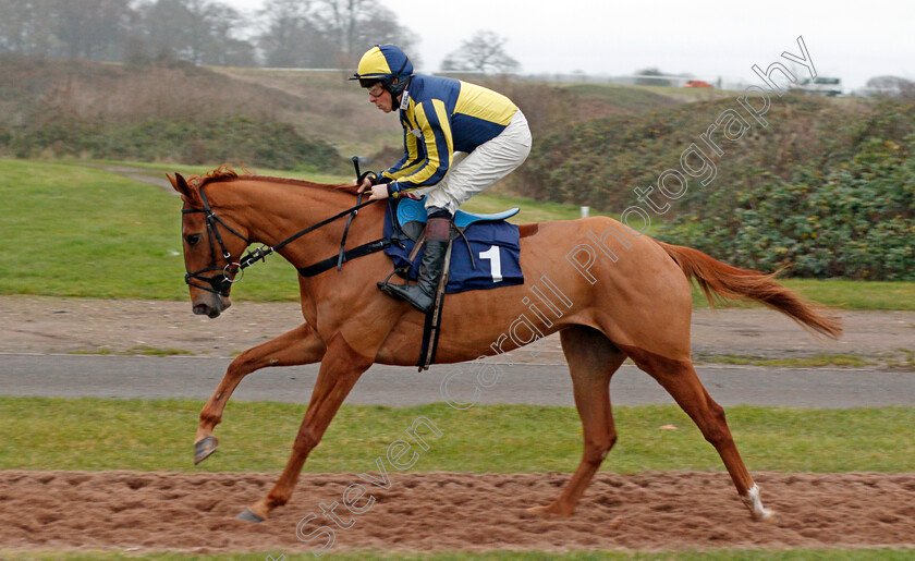 A-Large-One-Please-0001 
 A LARGE ONE PLEASE (Conor Shoemark)
Chepstow 7 Dec 2019 - Pic Steven Cargill / Racingfotos.com