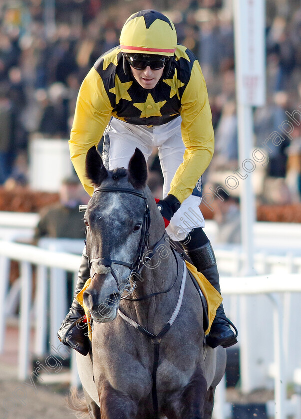 Total-Look-0001 
 TOTAL LOOK (Keith Donoghue)
Cheltenham 14 Dec 2024 - Pic Steven Cargill / Racingfotos.com