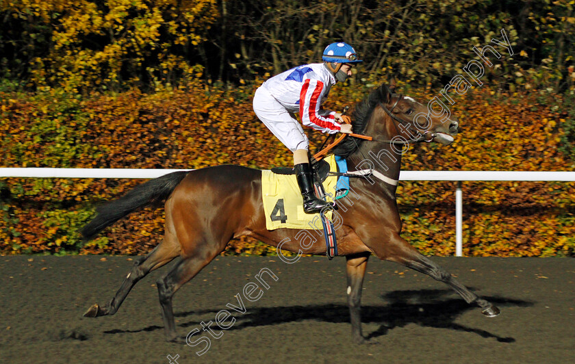 Norwegian-Red-0001 
 NORWEGIAN RED (Kieran O'Neill)
Kempton 11 Nov 2020 - Pic Steven Cargill / Racingfotos.com