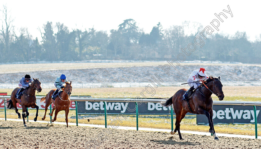 Walk-In-The-Sun-0005 
 WALK IN THE SUN (Ryan Moore) wins The 32Red Casino Novice Stakes Lingfield 27 Feb 2018 - Pic Steven Cargill / Racingfotos.com