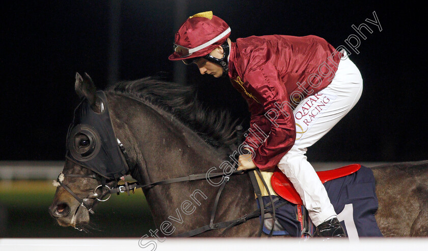 Government 
 GOVERNMENT (Cieren Fallon)
Wolverhampton 11 Mar 2022 - Pic Steven Cargill / Racingfotos.com