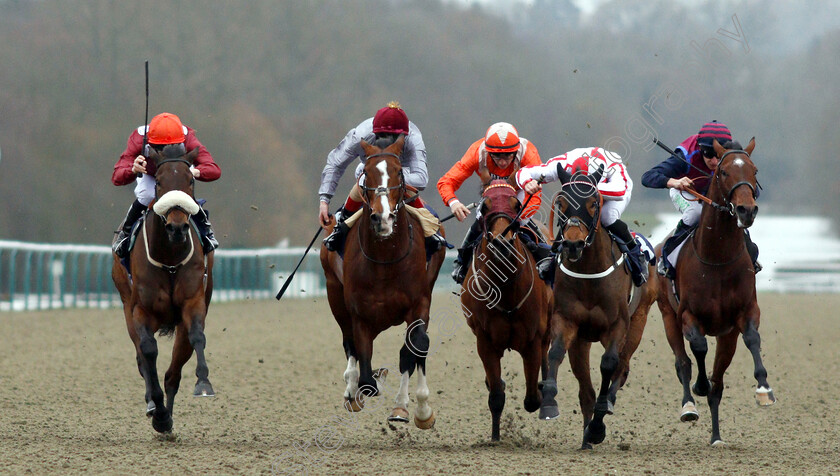 Mango-Tango-0003 
 MANGO TANGO (left, Edward Greatrex) beats TOAST OF NEW YORK (2nd left) GORING (centre) SCARLET DRAGON (2nd right) and NORTH FACE (right) in The Betway Casino Stakes
Lingfield 5 Dec 2018 - Pic Steven Cargill / Racingfotos.com