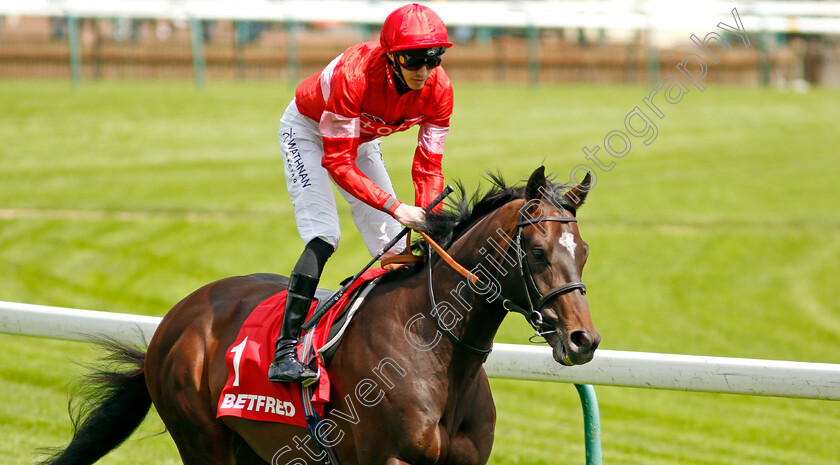 Blue-Lemons-0002 
 BLUE LEMONS (James Doyle)
Haydock 25 May 2024 - Pic Steven cargill / Racingfotos.com