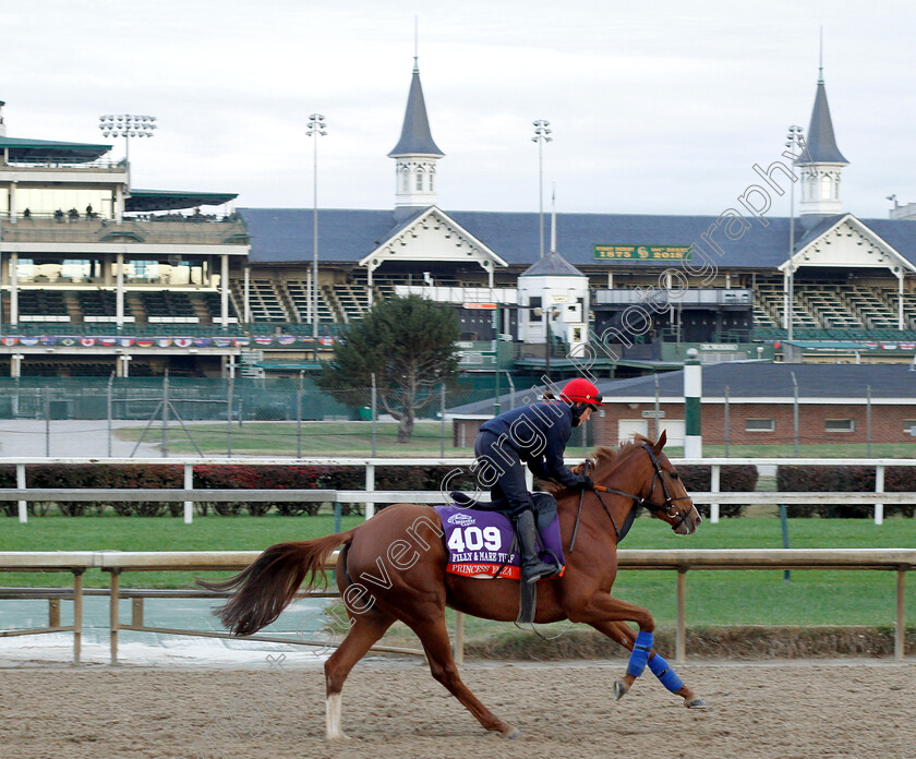 Princess-Yaiza-0001 
 PRINCESS YAIZA exercising ahead of The Breeders' Cup Filly & Mare Turf
Churchill Downs USA 30 Oct 2018 - Pic Steven Cargill / Racingfotos.com