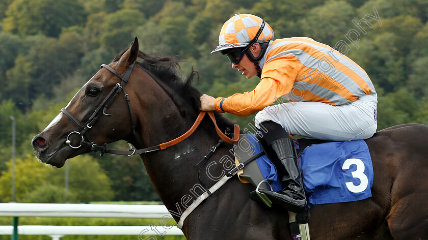 Mr-Duepearl-0005 
 MR DUEPEARL (Seamus Cronin) wins The Mansionbet Novice Auction Stakes
Nottingham 16 Jul 2019 - Pic Steven Cargill / Racingfotos.com