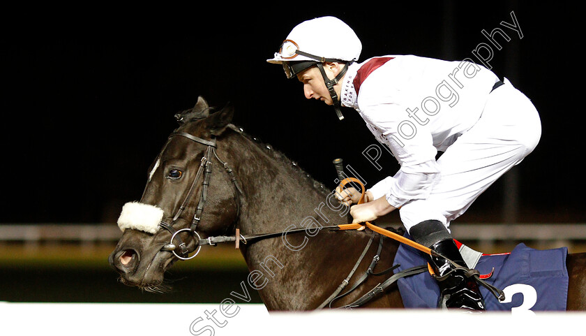 Breguet-Boy-0001 
 BREGUET BOY (Ben Sanderson)
Wolverhampton 21 Feb 2020 - Pic Steven Cargill / Racingfotos.com