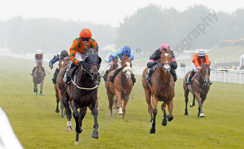 Love-Dreams-0001 
 LOVE DREAMS (left, P J McDonald) wins The South Downs Water Handicap Goodwood 24 May 2018 - Pic Steven Cargill / Racingfotos.com