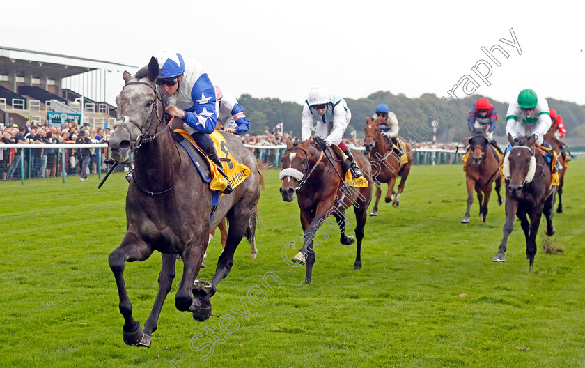 Master-Builder-0002 
 MASTER BUILDER (William Buick) wins The Betfair Handicap
Haydock 7 Sep 2024 - Pic Steven Cargill / Racingfotos.com