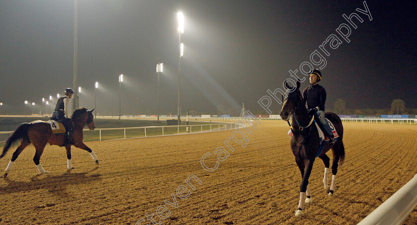 Midnight-Bourbon-0004 
 MIDNIGHT BOURBON training for the Dubai World Cup
Meydan, Dubai, 22 Mar 2022 - Pic Steven Cargill / Racingfotos.com