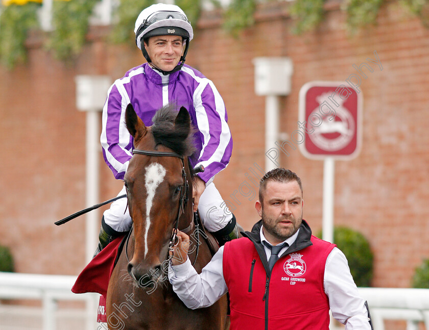 South-Pacific-0001 
 SOUTH PACIFIC (Wayne Lordan)
Goodwood 30 Jul 2019 - Pic Steven Cargill / Racingfotos.com