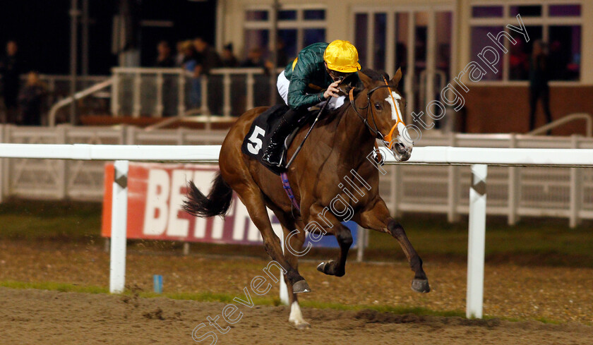 Exhibit-0002 
 EXHIBIT (James Doyle) wins The Bet At totesport.com Fillies Novice Stakes Div1
Chelmsford 25 Nov 2019 - Pic Steven Cargill / Racingfotos.com