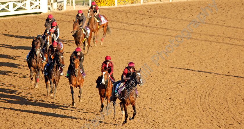 O Brien-String-0001 
 Mount Everest leads the Aidan O'Brien string training for The Breeders' Cup 
Santa Anita USA 31 Oct 2019 - Pic Steven Cargill / Racingfotos.com