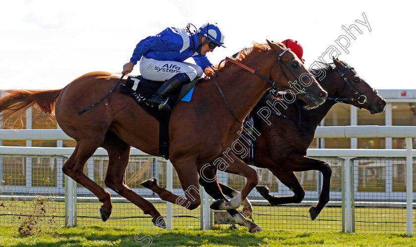 Alfaadhel-0005 
 ALFAADHEL (nearside, Jim Crowley) beats IMMELMANN (farside) in The Boodles Maiden Stakes
Chester 5 May 2021 - Pic Steven Cargill / Racingfotos.com