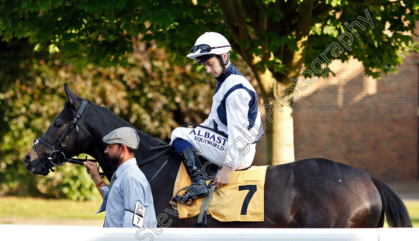 Gaslight-0001 
 GASLIGHT (Oisin Murphy)
Kempton 22 May 2019 - Pic Steven Cargill / Racingfotos.com