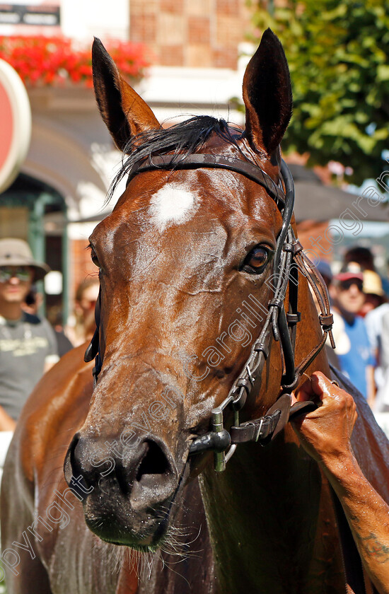 Highfield-Princess-0016 
 HIGHFIELD PRINCESS winner of The Prix Maurice de Gheest 
Deauville 7 Aug 2022 - Pic Steven Cargill / Racingfotos.com