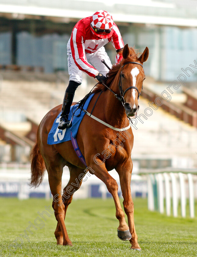 Let-Her-Loose-0001 
 LET HER LOOSE (Sean Davis)
York 12 May 2021 - Pic Steven Cargill / Racingfotos.com