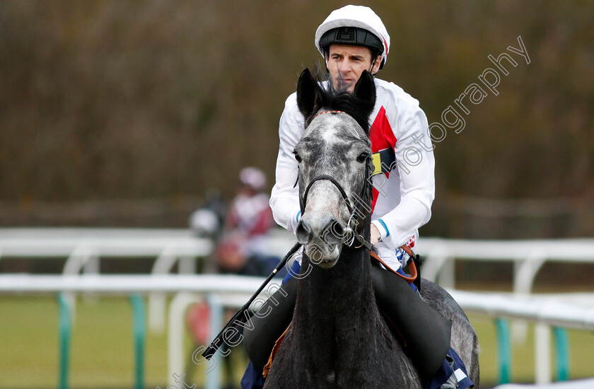 Past-Master-0001 
 PAST MASTER (Fran Berry) Lingfield 13 Dec 2017 - Pic Steven Cargill / Racingfotos.com