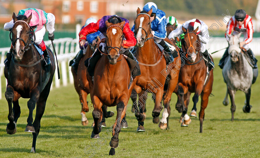 Daphne-0007 
 DAPHNE (centre, Ryan Moore) beats WEEKENDER (left) in The Dubai Duty Free Finest Surprise Handicap Newbury 23 Sep 2017 - Pic Steven Cargill / Racingfotos.com