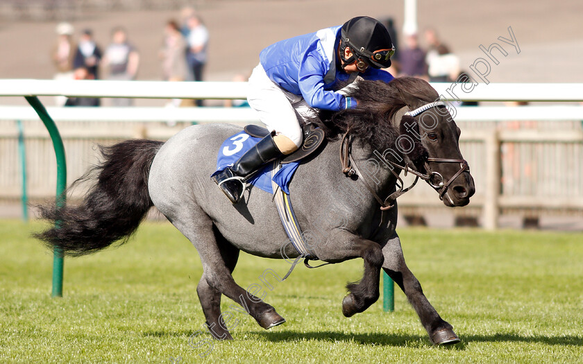 Briar-Smokey-Joe-0005 
 BRIAR SMOKEY JOE (Zac Kent) wins The Shetland Pony Grand National Flat Race
Newmarket 28 Sep 2018 - Pic Steven Cargill / Racingfotos.com