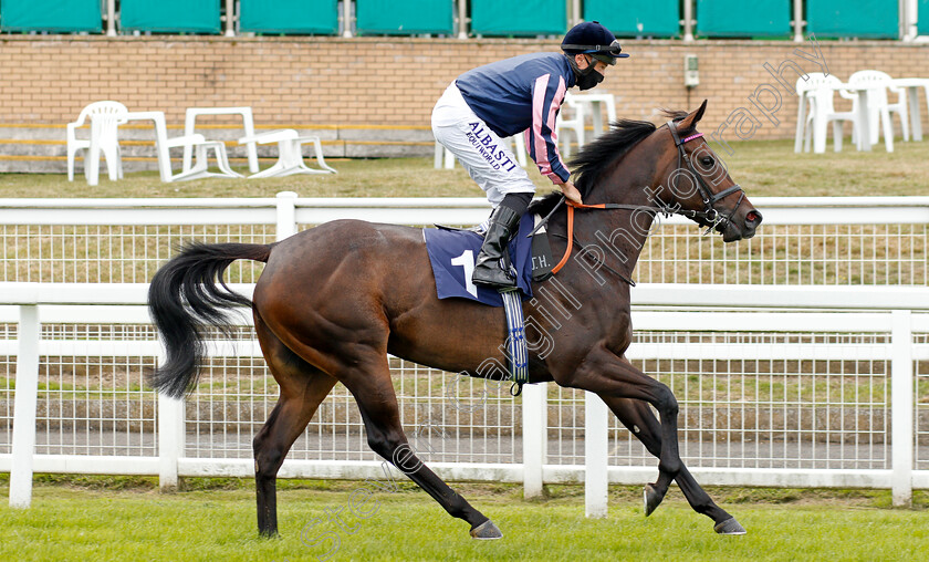 Pink-Sands-0002 
 PINK SANDS (Tom Marquand)
Yarmouth 22 Jul 2020 - Pic Steven Cargill / Racingfotos.com