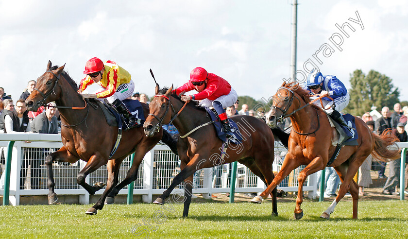 Tiger-Crusade-0002 
 TIGER CRUSADE (Jamie Spencer) beats ONE NIGHT STAND (centre) and BUHTURI (right) in The British Stallion Studs EBF Novice Stakes
Yarmouth 17 Sep 2019 - Pic Steven Cargill / Racingfotos.com