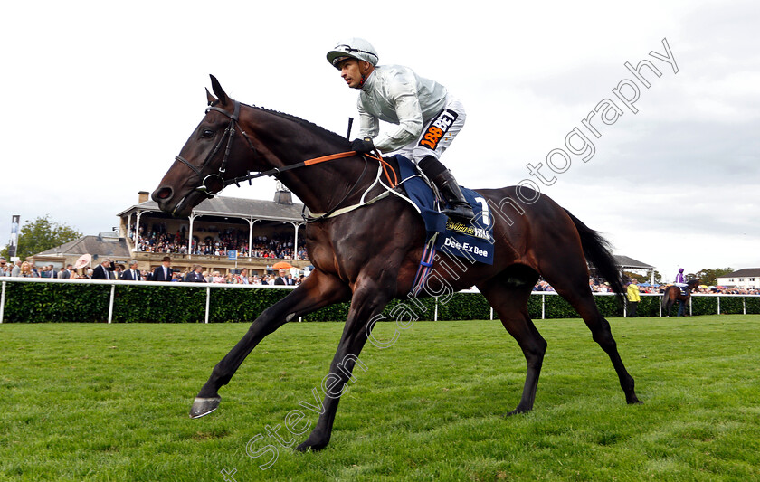 Dee-Ex-Bee-0002 
 DEE EX BEE (Silvestre De Sousa)
Doncaster 15 Sep 2018 - Pic Steven Cargill / Racingfotos.com