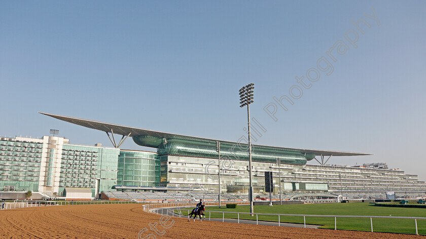 Hot-Rod-Charlie-0001 
 HOT ROD CHARLIE training for The Dubai World Cup
Meydan, Dubai, 24 Mar 2022 - Pic Steven Cargill / Racingfotos.com