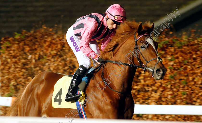 Fighter-Command-0001 
 FIGHTER COMMAND (Kieran Shoemark)
Kempton 6 Dec 2023 - Pic Steven Cargill / Racingfotos.com