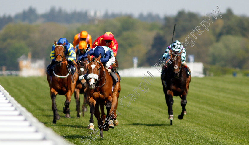 Coltrane-0006 
 COLTRANE (Oisin Murphy) wins The Longines Sagaro Stakes
Ascot 3 May 2023 - Pic Steven Cargill / Racingfotos.com