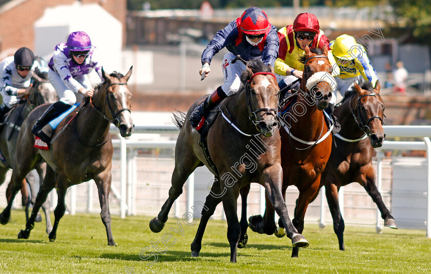 Steel-Bull-0003 
 STEEL BULL (centre, Colin Keane) beats BEN MACDUI (2nd right) in The Markel Insurance Molecomb Stakes
Goodwood 29 Jul 2020 - Pic Steven Cargill / Racingfotos.com