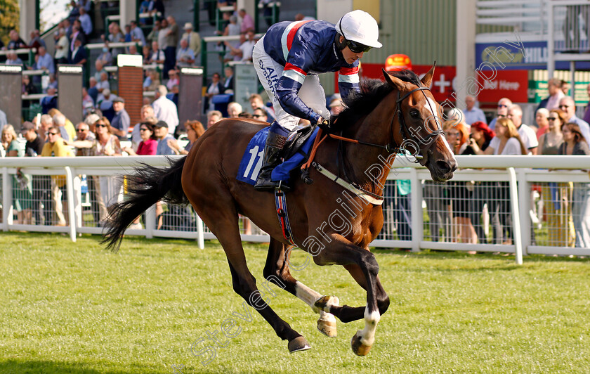 Dual-Identity-0003 
 DUAL IDENTITY (Jim Crowley) wins The George Smith Horseboxes Confined Handicap
Salisbury 11 Aug 2021 - Pic Steven Cargill / Racingfotos.com