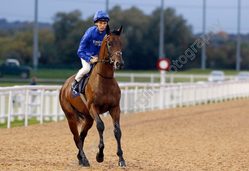 Castle-Peak-0001 
 CASTLE PEAK (Harry Davies)
Southwell 4 Oct 2022 - Pic Steven Cargill / Racingfotos.com