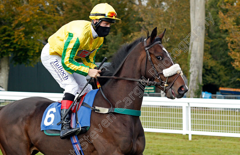 Thistleton-0001 
 THISTLETON (Cieren Fallon)
Salisbury 1 Oct 2020 - Pic Steven Cargill / Racingfotos.com