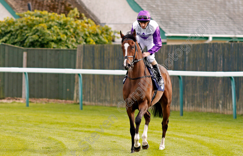 Tawaafoq-0001 
 TAWAAFOQ (Ted Durcan) Yarmouth 19 Sep 2017 - Pic Steven Cargill / Racingfotos.com