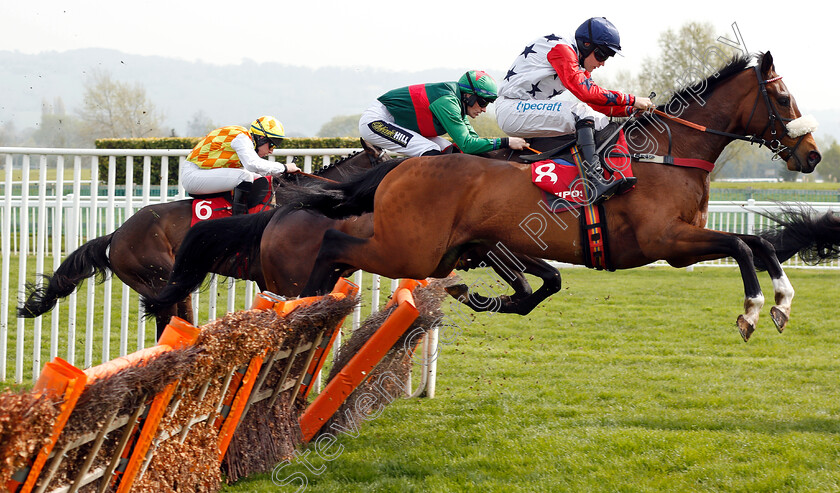 Cotswold-Prince-0002 
 COTSWOLD PRINCE (Harry Stock)
Cheltenham 17 Apr 2019 - Pic Steven Cargill / Racingfotos.com