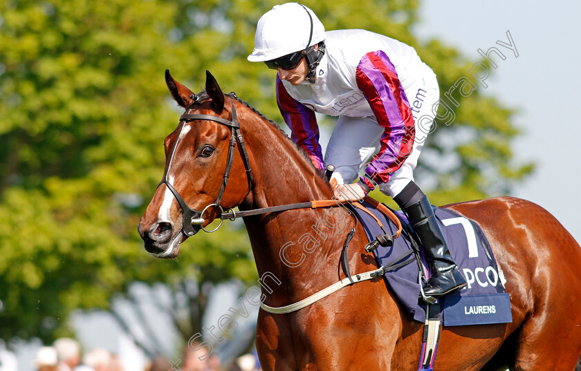 Laurens-0001 
 LAURENS (P J McDonald) Newmarket 6 May 2018 - Pic Steven Cargill / Racingfotos.com