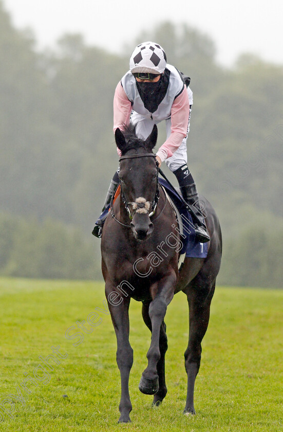 Beauty-Choice-0001 
 BEAUTY CHOICE (Kieran Shoemark) before winning The Follow diamondracing.co.uk Novice Stakes
Chepstow 9 Jul 2020 - Pic Steven Cargill / Racingfotos.com