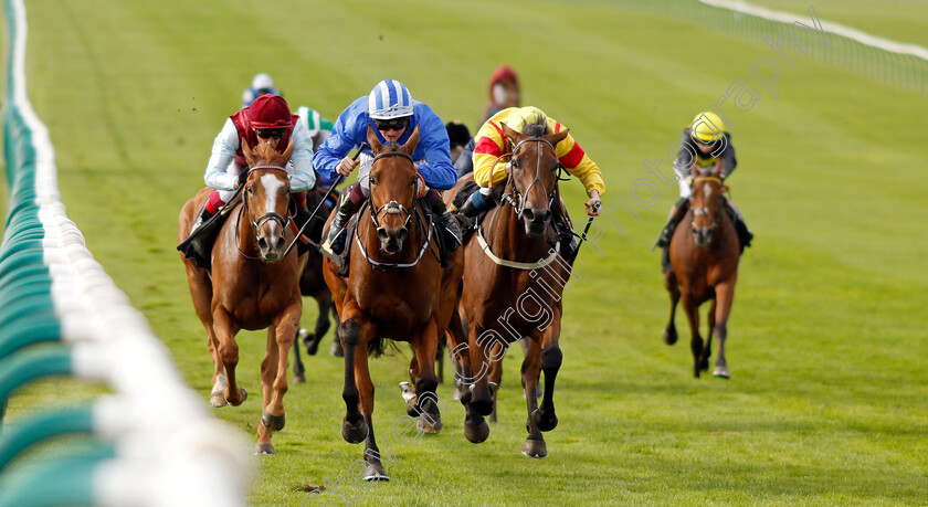 Vera-Verto-0005 
 VERA VERTO (Rob Hornby) beats DIVINA GRACE (right) in The British EBF 40th Anniversary Premier Fillies Handicap
Newmarket 7 Oct 2023 - Pic Steven Cargill / Racingfotos.com