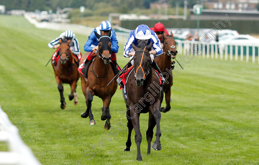 Good-Luck-Fox-0004 
 GOOD LUCK FOX (Ryan Moore) wins The Slug And Lettuce Christmas EBF Novice Stakes
Sandown 9 Aug 2018 - Pic Steven Cargill / Racingfotos.com