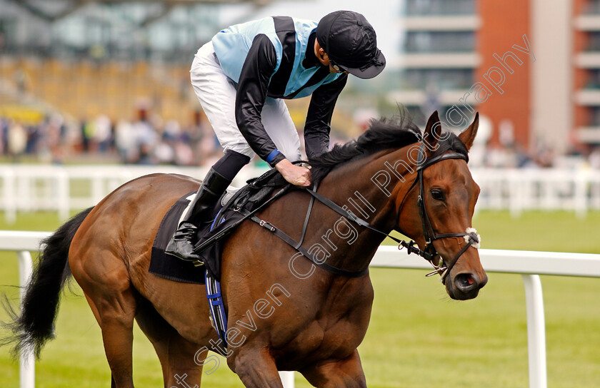 Aura-Blue-0001 
 AURA BLUE (James Doyle)
Newbury 10 Jun 2021 - Pic Steven Cargill / Racingfotos.com