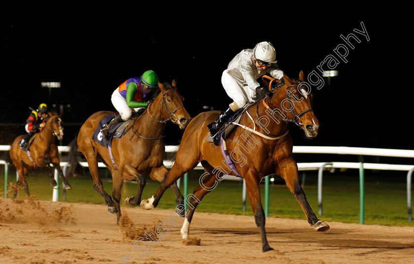 Lion-Tower-0001 
 LION TOWER (Joe Fanning) wins The Betway Novice Stakes
Southwell 15 Jan 2020 - Pic Steven Cargill / Racingfotos.com