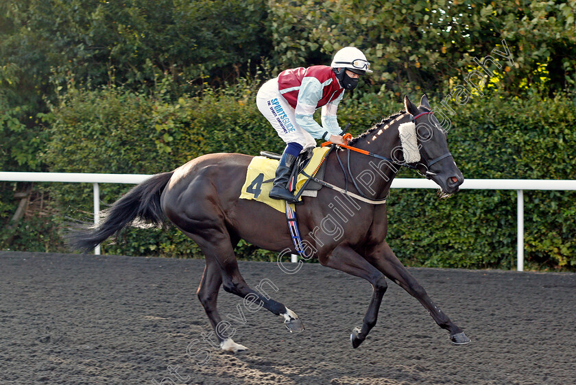 Fantastic-Flyer-0001 
 FANTASTIC FLYER (Sophie Ralston) 
Kempton 18 Aug 2020 - Pic Steven Cargill / Racingfotos.com