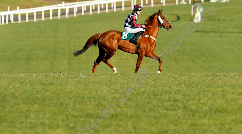 Moon-d Orange-0001 
 MOON D'ORANGE (Ben Harvey)
Cheltenham 14 Dec 2024 - Pic Steven Cargill / Racingfotos.com