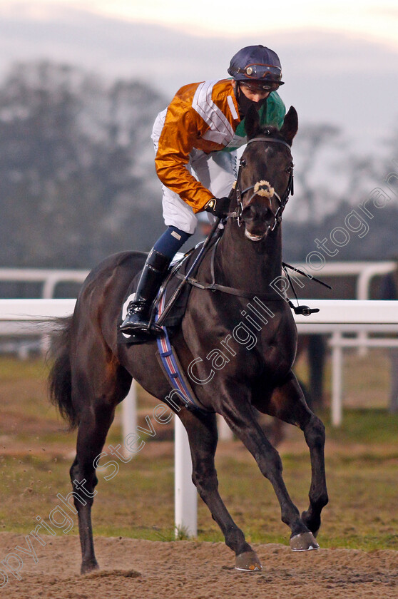 Snow-Berry-0001 
 SNOW BERRY (Alistair Rawlinson)
Chelmsford 26 Nov 2020 - Pic Steven Cargill / Racingfotos.com