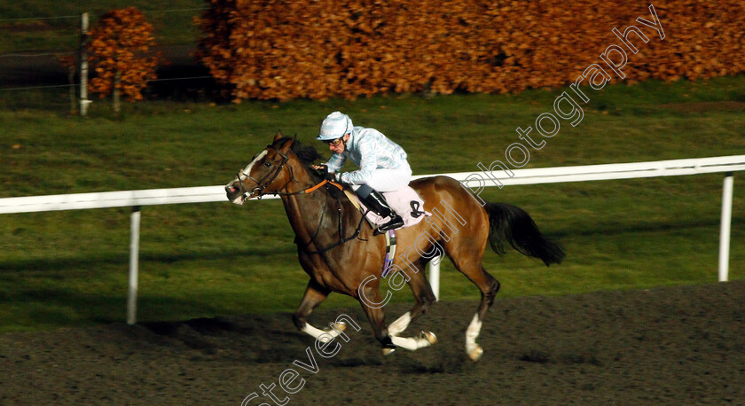 Lord-Halifax-0002 
 LORD HALIFAX (Kieran Shoemark) wins The 32Red Casino Handicap
Kempton 4 Dec 2019 - Pic Steven Cargill / Racingfotos.com